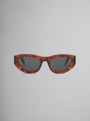 Marni Acetate Rainbow Mountains Gekleurd | LBESX77580