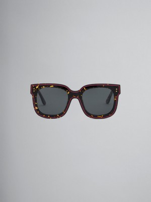 Marni Animal Print Acetate Li River Gekleurd | BENZX14999