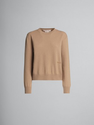 Marni Logo Cashmere Crewneck Trui Beige | BENZX25613