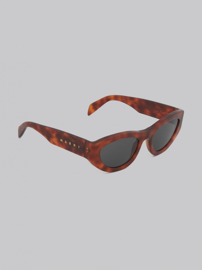 Marni Acetate Rainbow Mountains Gekleurd | LBESX77580